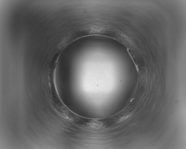 X0000072920215200608041158