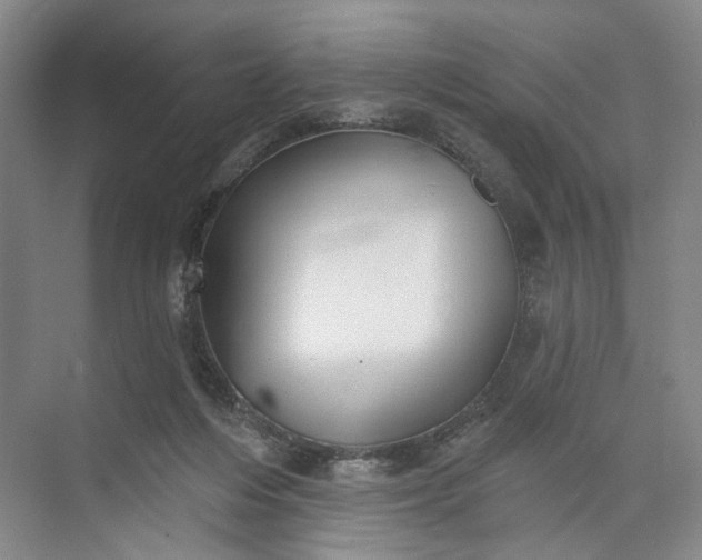 X0000072920216200608041158