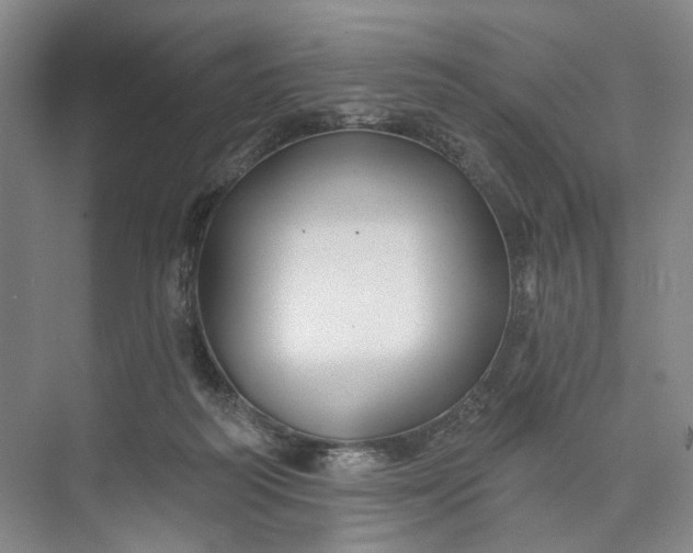 X0000072920218200608041158