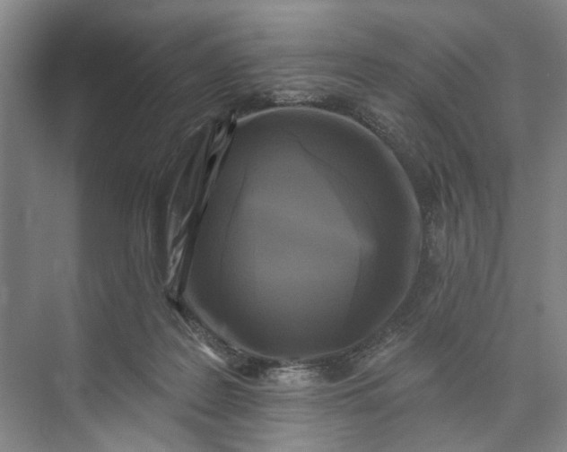 X0000072920219200608041158