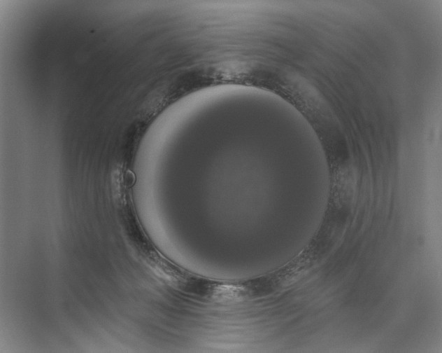 X0000072920222200608041158