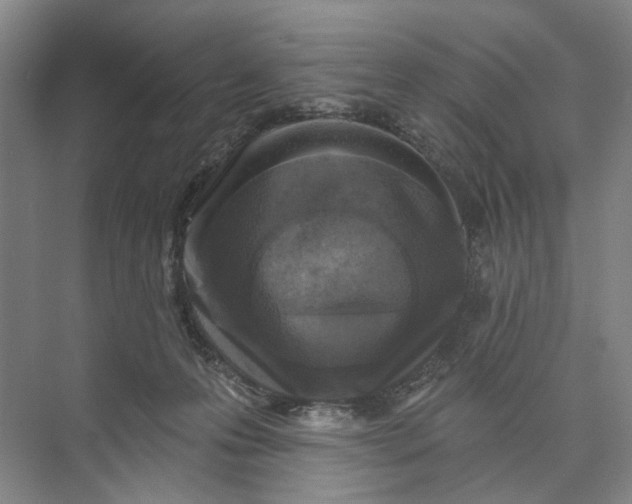 X0000072920223200608041158