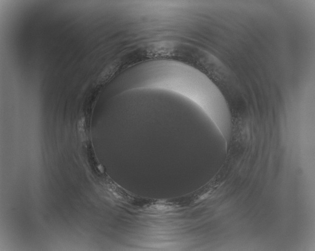 X0000072920224200608041158