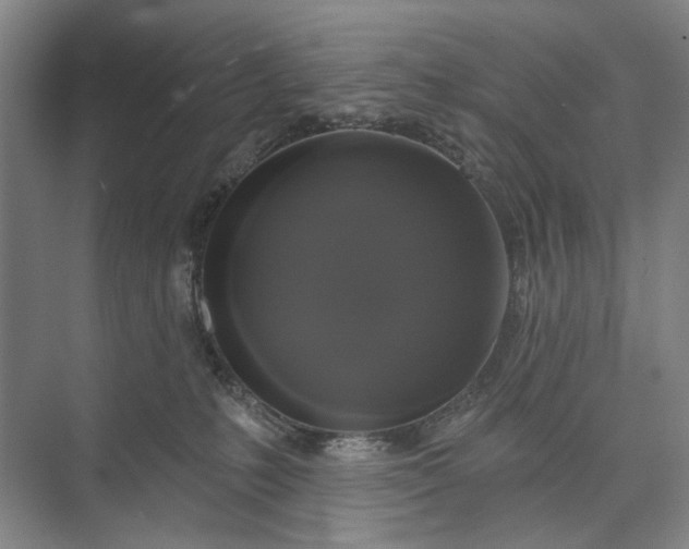 X0000072920231200608041158