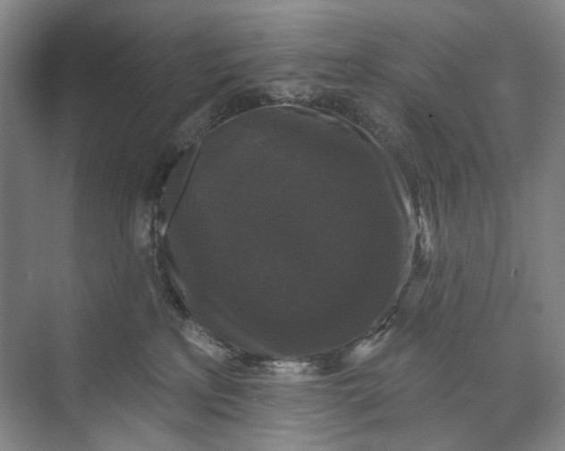 X0000072920233200608041158
