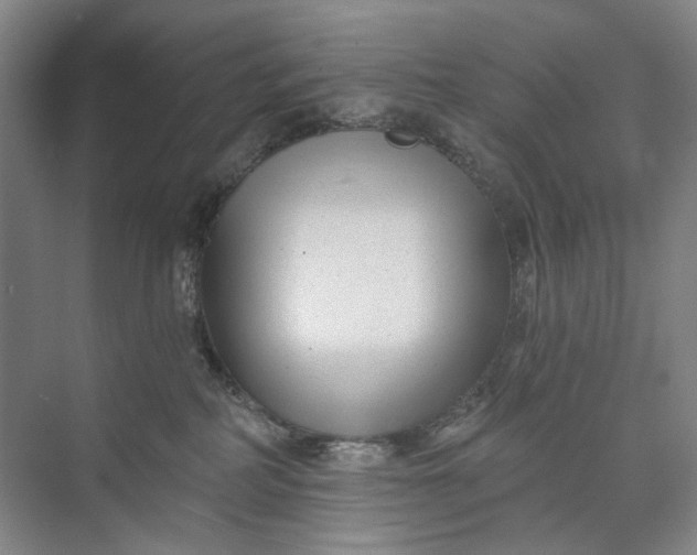 X0000072920234200608041158