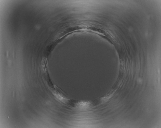 X0000072920237200608041158