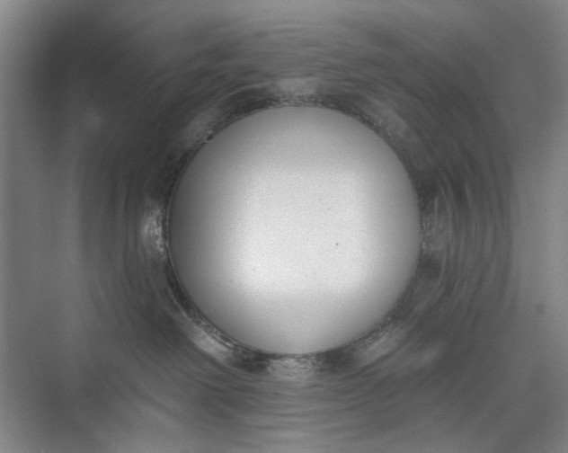 X0000072920238200608041158