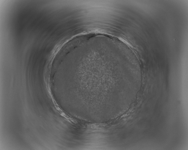 X0000072920241200608041157