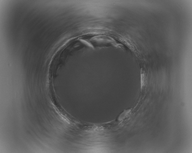X0000072920243200608041157