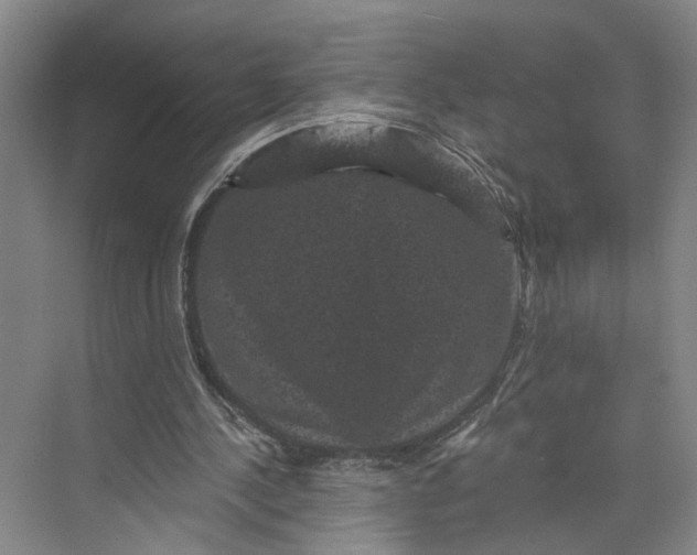 X0000072920244200608041157