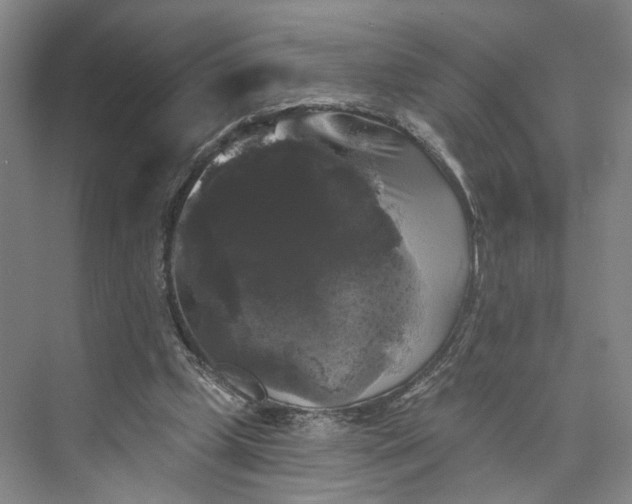 X0000072920249200608041157