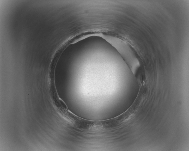 X0000072920252200608041157