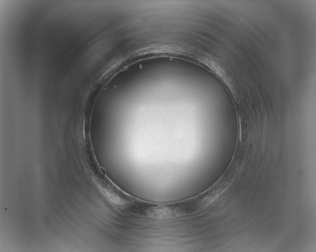 X0000072920253200608041157