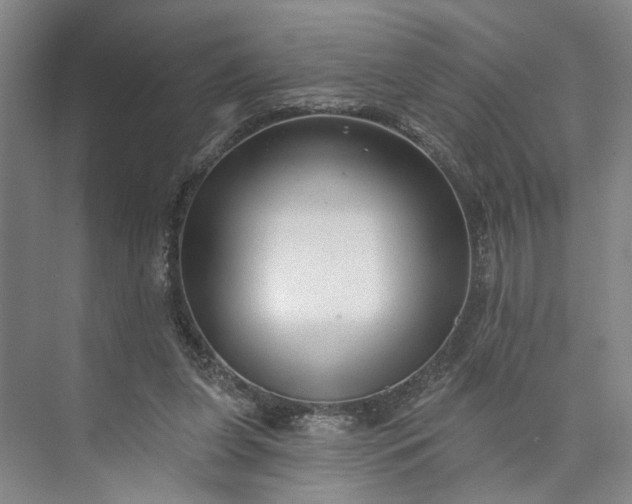 X0000072920255200608041157