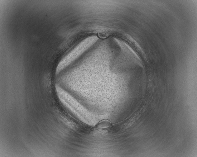 X0000072920257200608041157