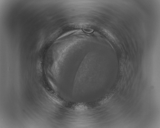 X0000072920258200608041157