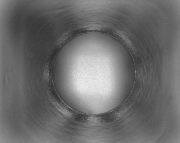 X0000072920261200608041157