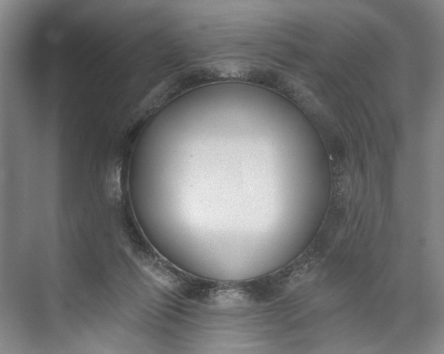 X0000072920262200608041157