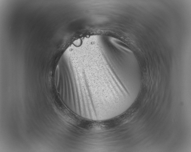 X0000072920263200608041157