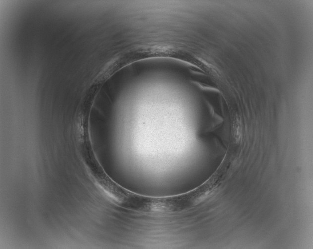 X0000072920264200608041157