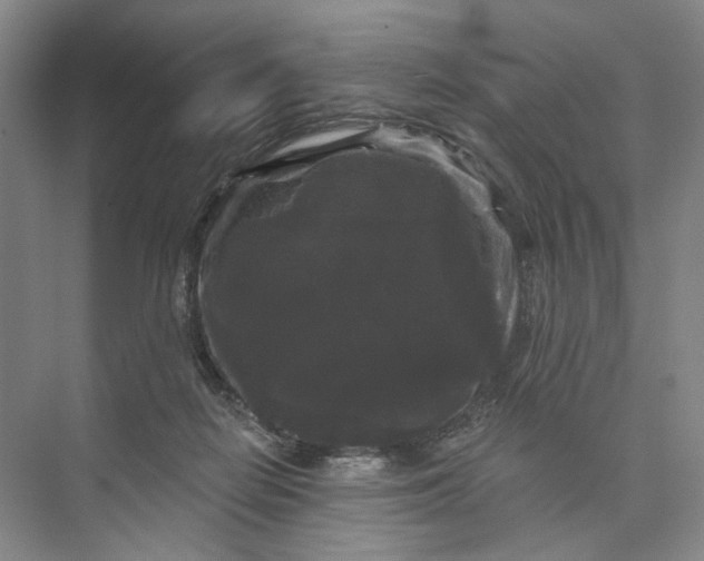 X0000072920266200608041158