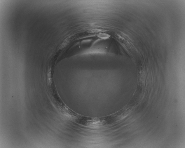 X0000072920267200608041158