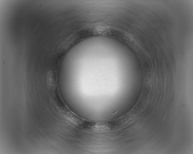X0000072920270200608041158