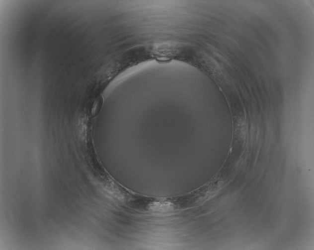 X0000072920271200608041158