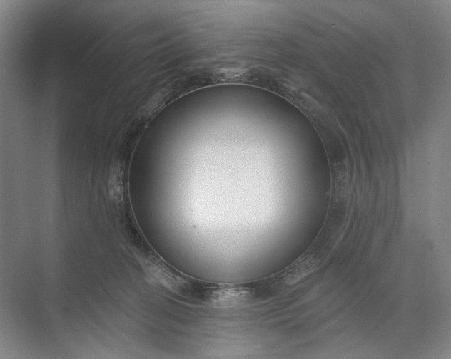 X0000072920274200608041158