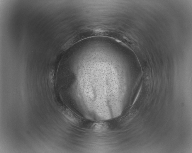 X0000072920275200608041158