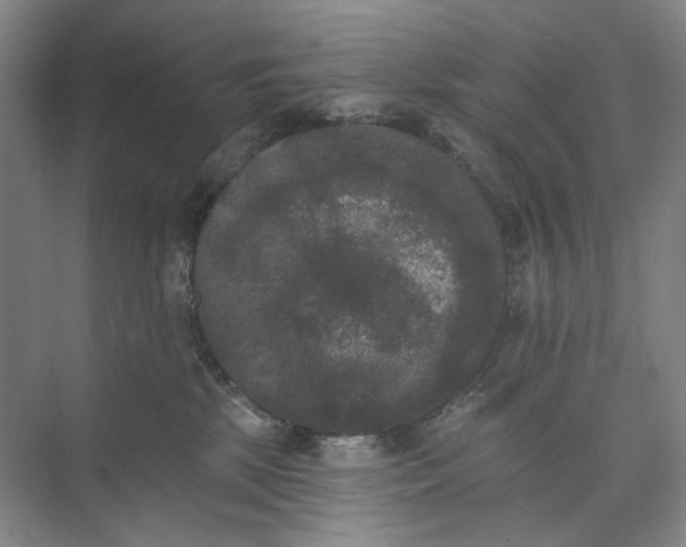X0000072920281200608041158