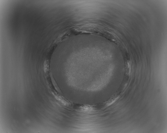 X0000072920284200608041158