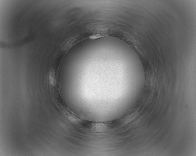 X0000072920287200608041158
