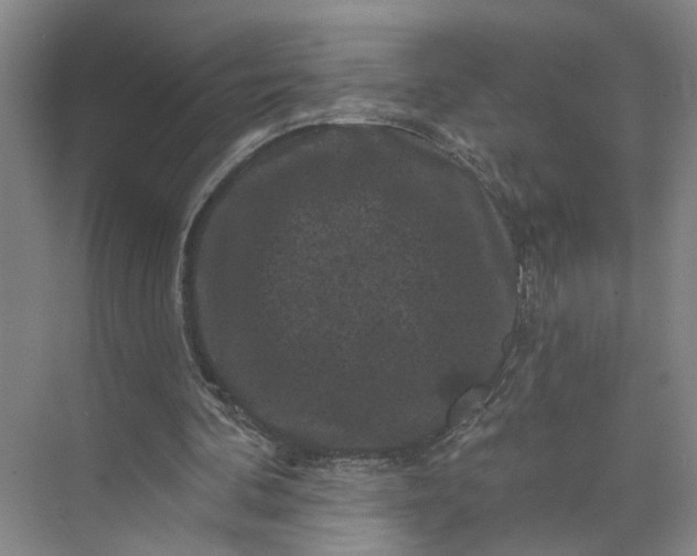 X0000072920292200608041157