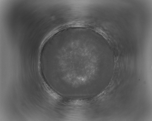 X0000072920293200608041157