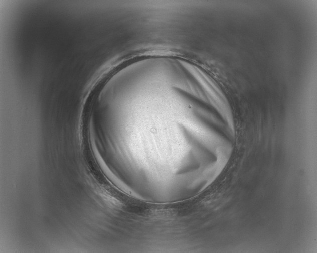 X0000072920296200608041157