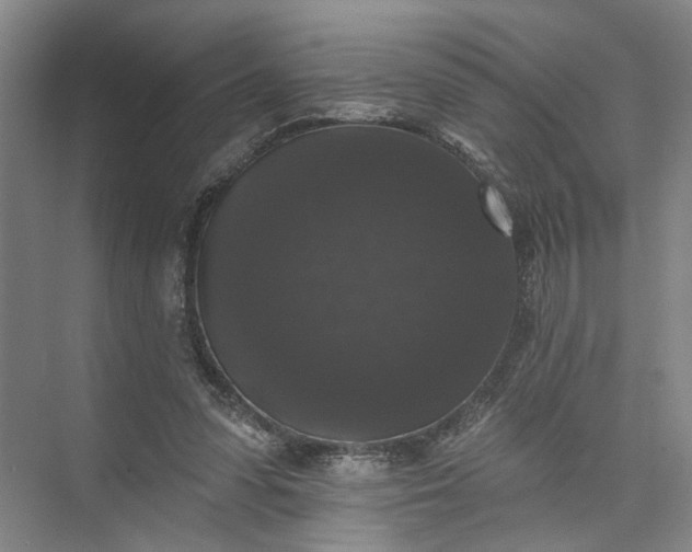 X0000072920303200608041157