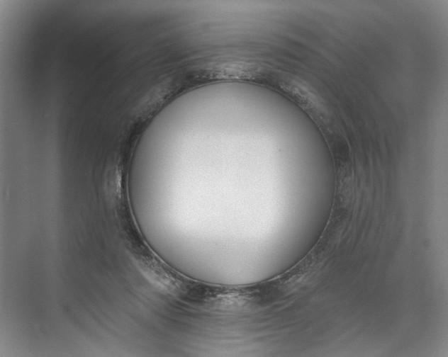 X0000072920310200608041157