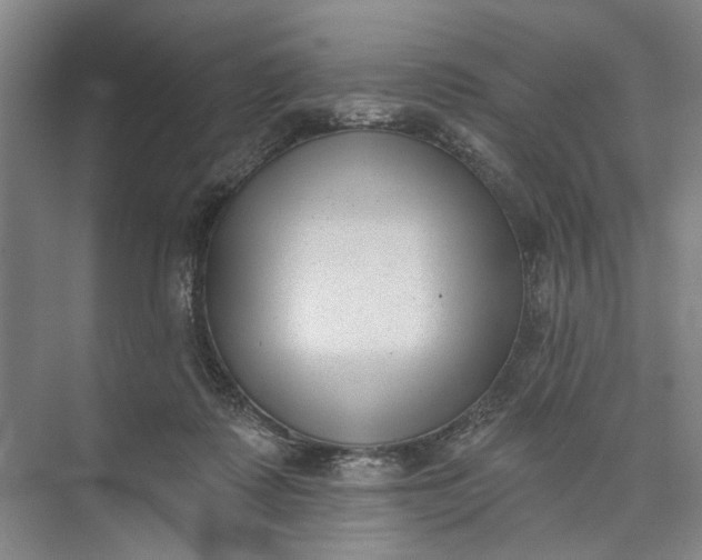 X0000072920315200608041157
