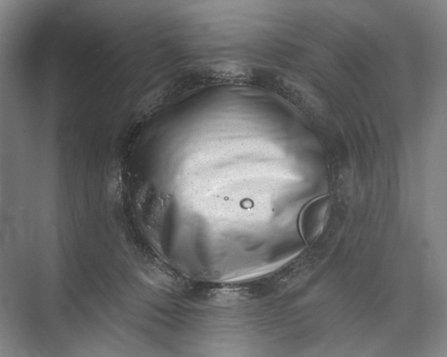 X0000072920320200608041157