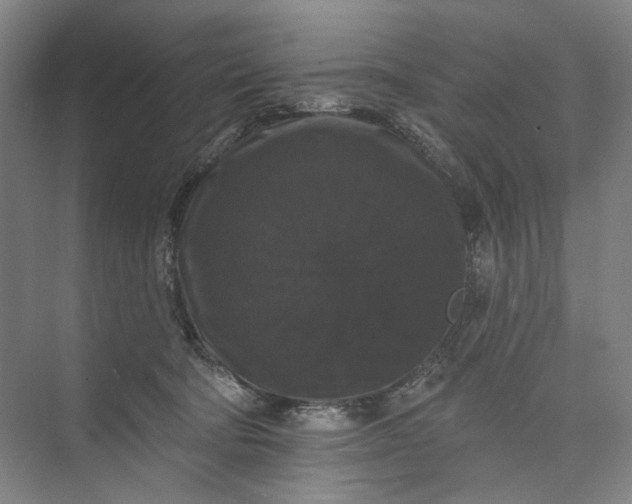 X0000072920322200608041157