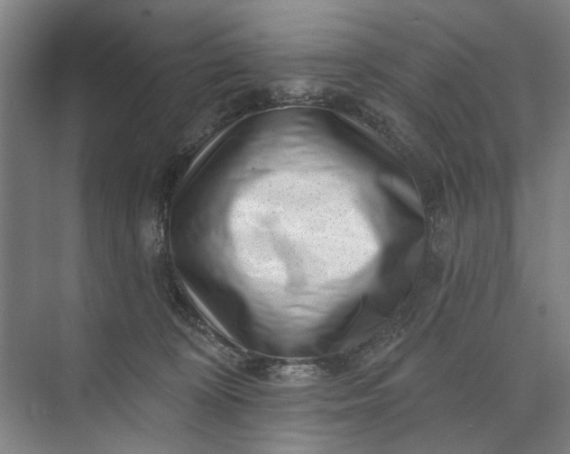 X0000072920324200608041157