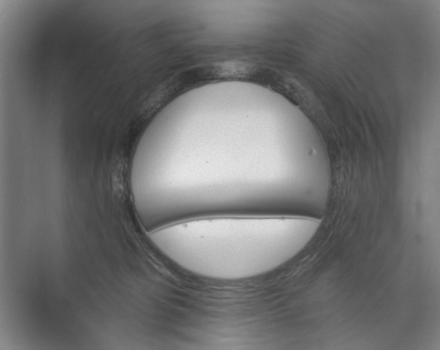 X0000072920325200608041156