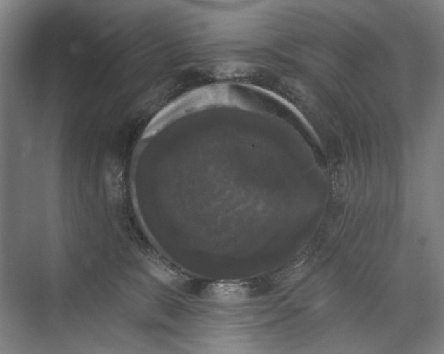 X0000072920327200608041156