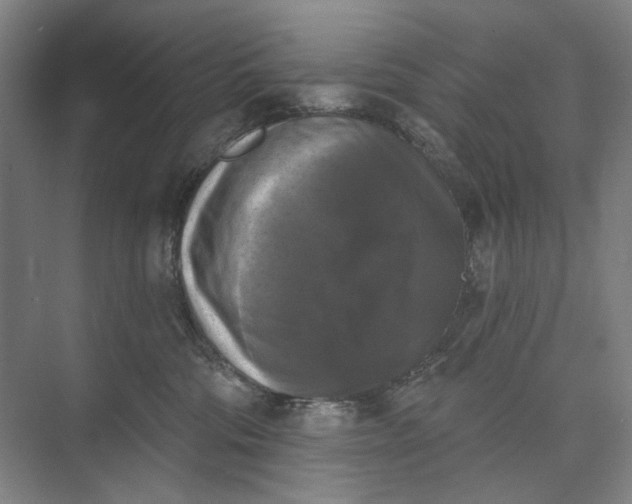 X0000072920330200608041156