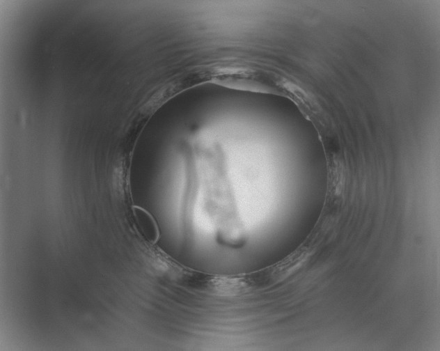 X0000072920333200608041156