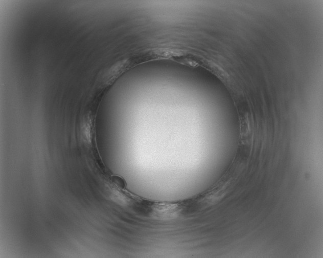 X0000072920334200608041156