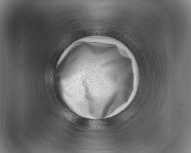 X0000072920336200608041156