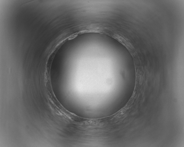X0000072920338200608041156